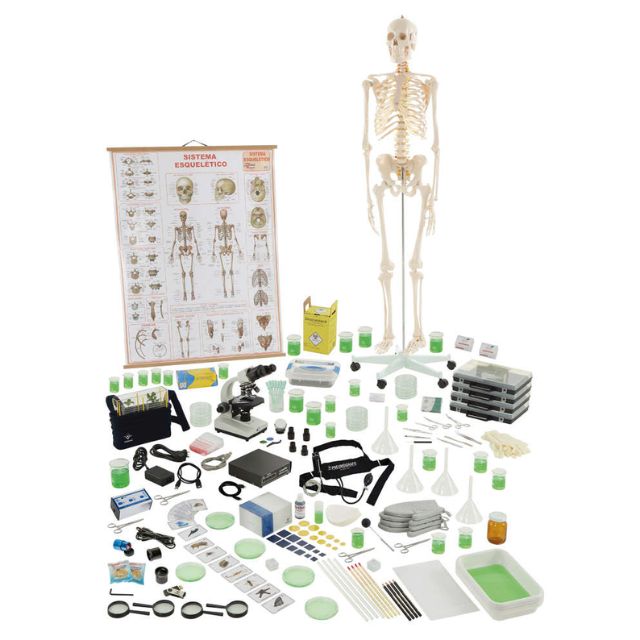 KIT DE BIOLOGÍA B PARA 4 GRUPOS